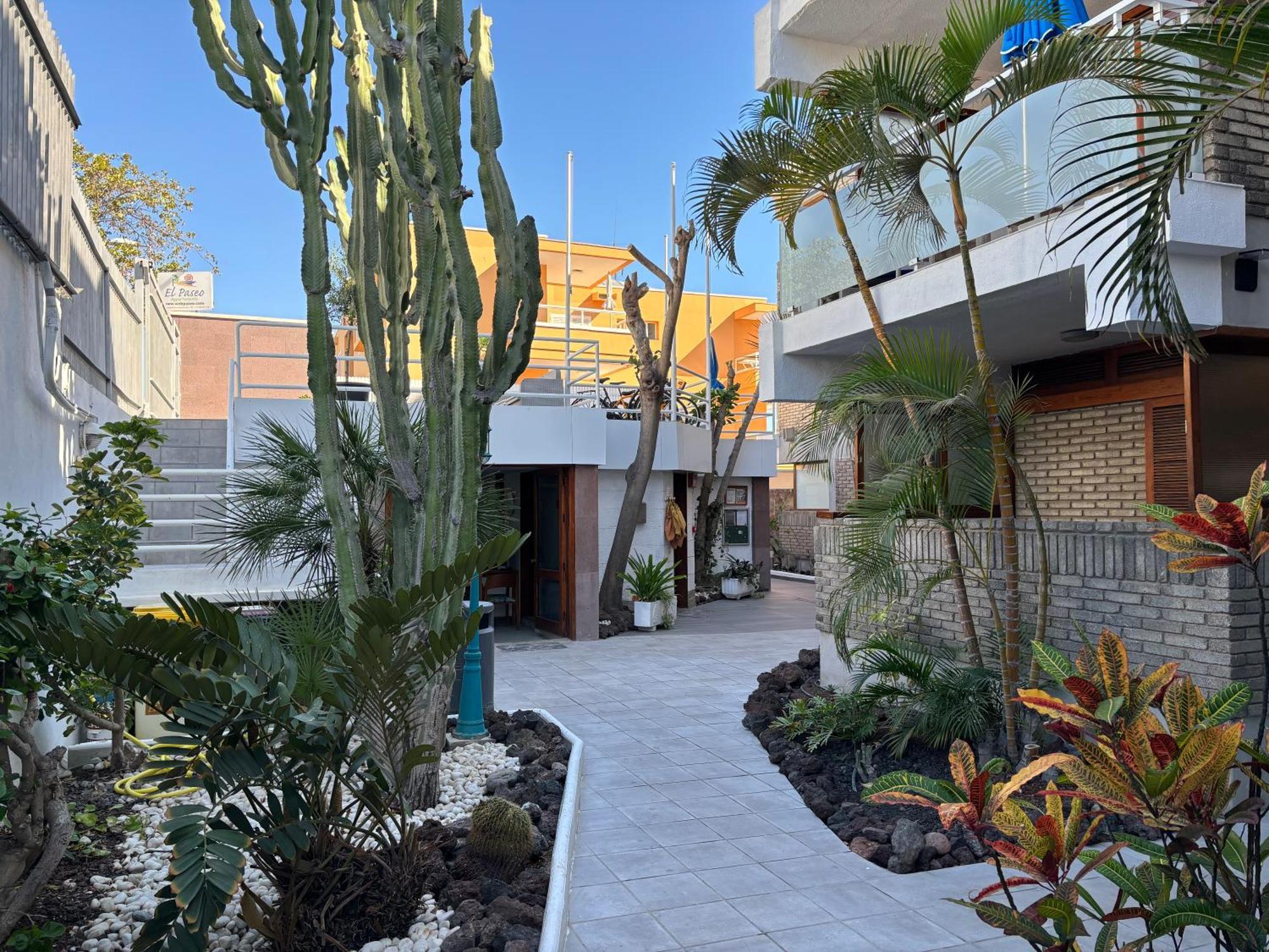 Apartamentos El Paseo Playa del Inglés Eksteriør bilde